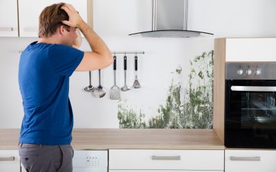 The Cost of Kitchen Mold Removal